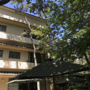 ゆっくりと初夏を迎えております。