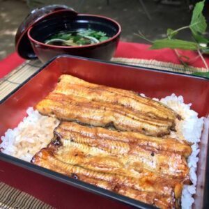 うなぎ、鰻、Unagi